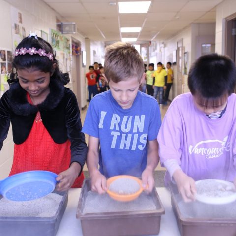 Types of Giving: Gift of Securities