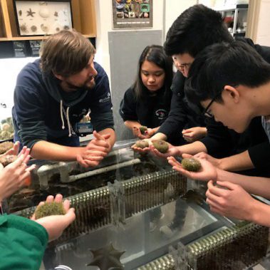 TFF secondary vancouver aquarium